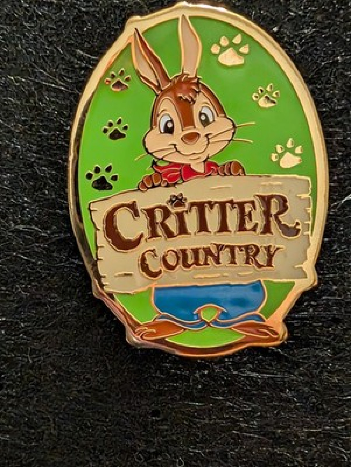 Briar Rabbit Critter Country Disney Pin 